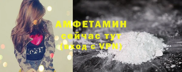 шишки Армянск