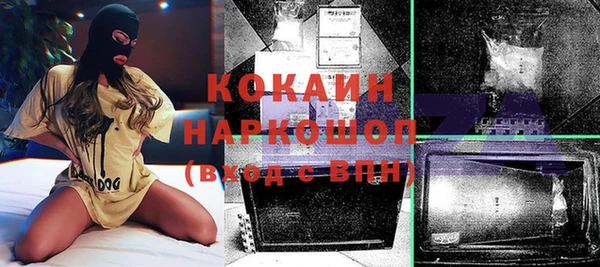 шишки Армянск