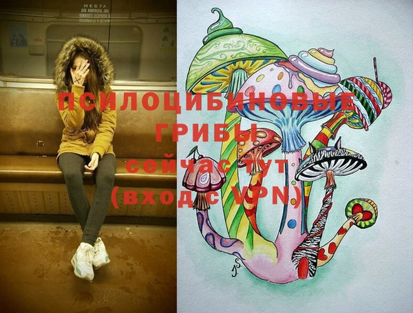 дживик Баксан